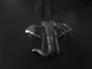 IMAG0767.jpg