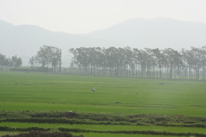 up00010.jpg