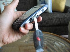 ibs04.jpg